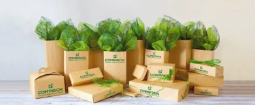 Eco packaging samples showcasing trays, sleeves, and protective fiber inserts